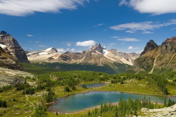 Lago en las montañas alrededor de la vegetación