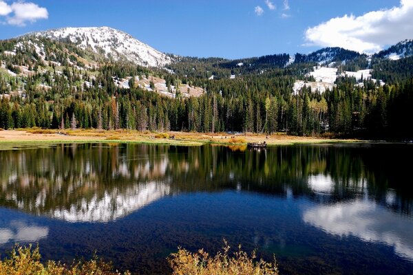 Lac bleu. Beaucoup d arbres