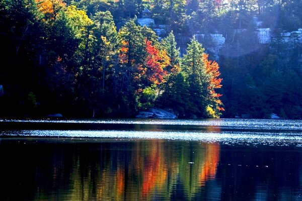 The blue lake reflects the trees