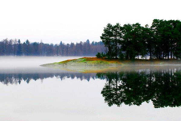 Mgła nad rzeką w lesie na tle