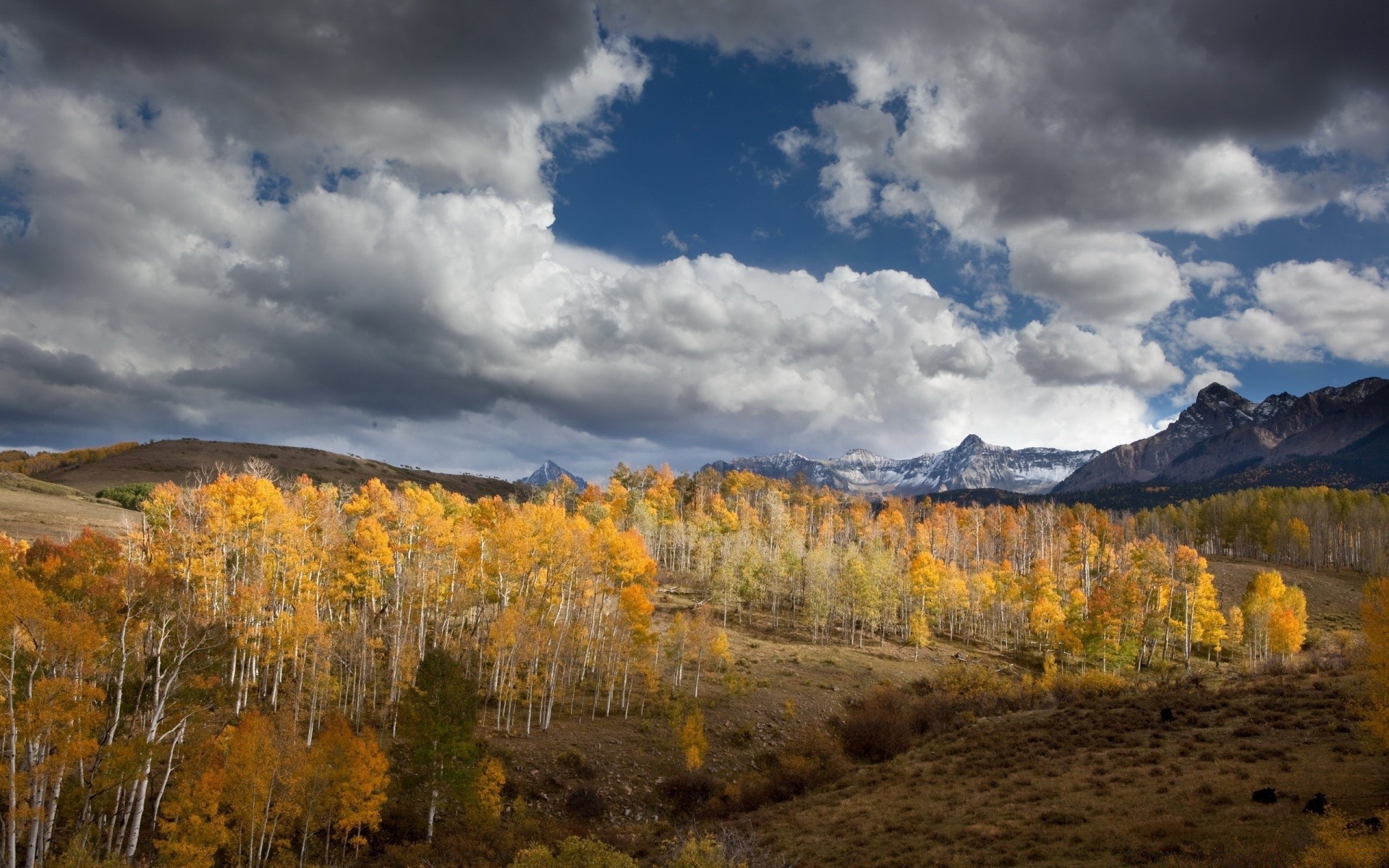 automne automne paysage nature bois à l extérieur bois scénique montagnes ciel voyage feuille neige aube beau temps