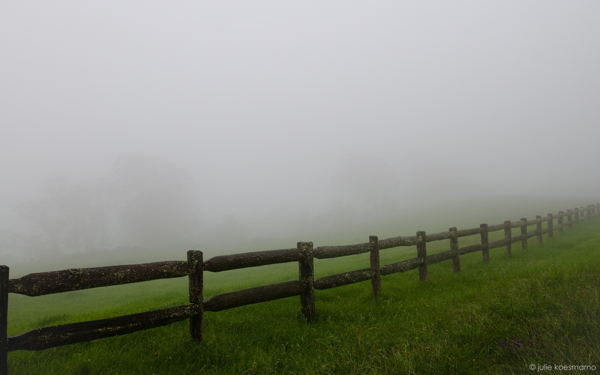 outono cerca névoa paisagem névoa amanhecer arame farpado grama luz fazenda água pôr do sol ao ar livre céu natureza madeira