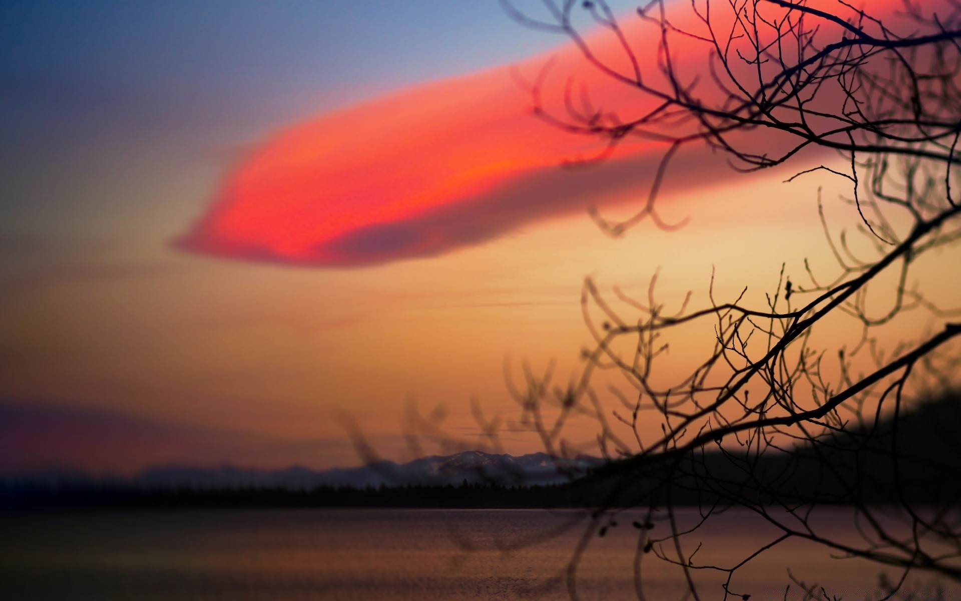 outono pôr do sol amanhecer noite anoitecer paisagem céu silhueta sol água natureza tempo névoa árvore lago ao ar livre luz de fundo luz reflexão