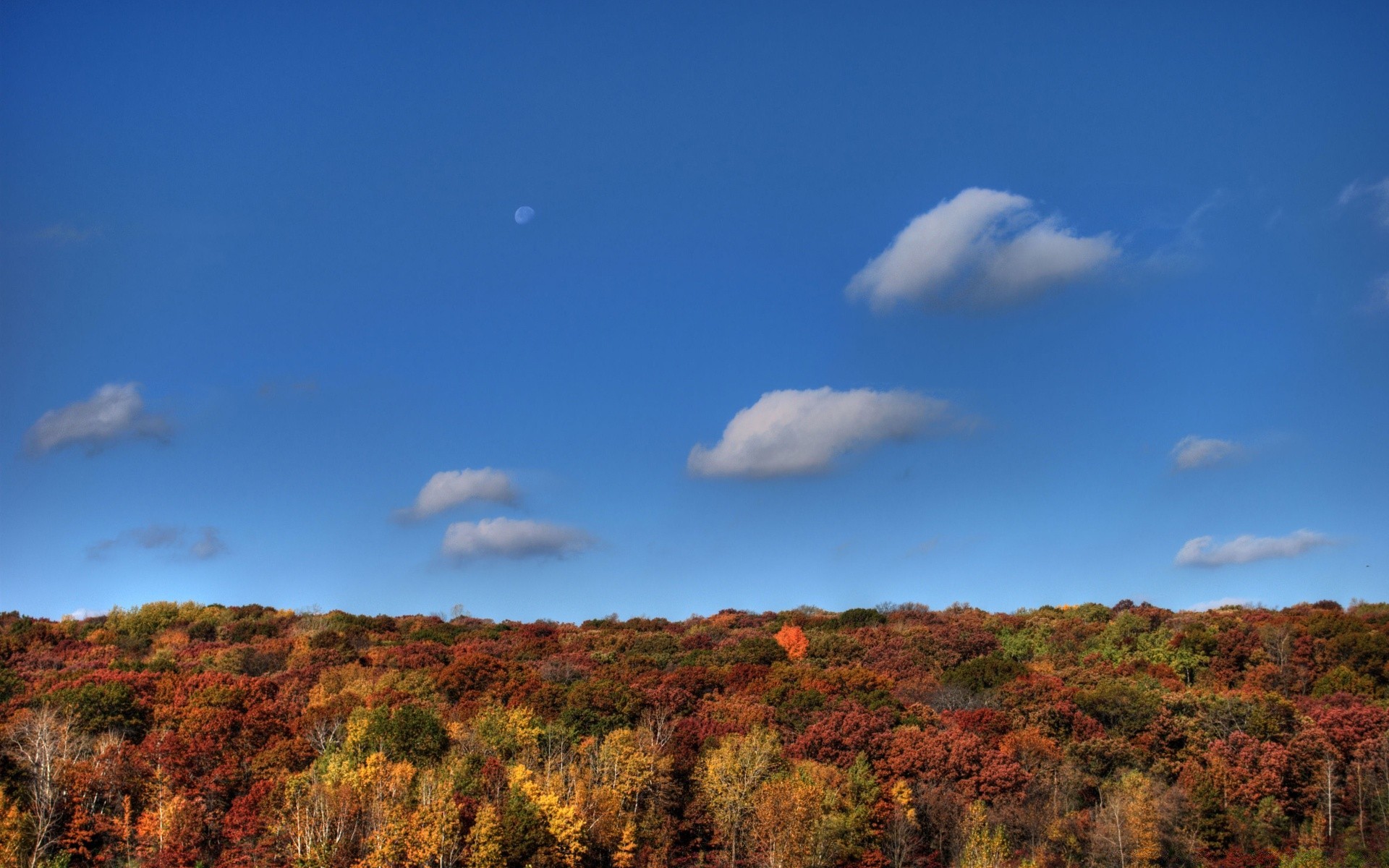 automne paysage automne nature ciel à l extérieur arbre voyage scénique coucher de soleil aube bois feuille