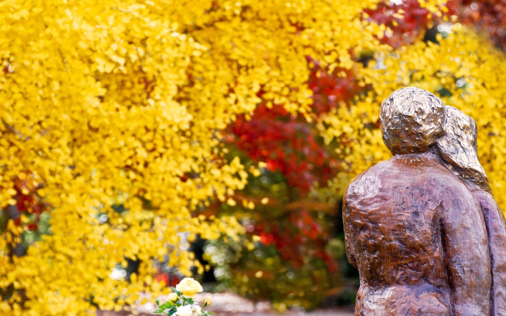 automne automne à l extérieur nature or feuille parc saison pierre couleur bureau jardin fleur