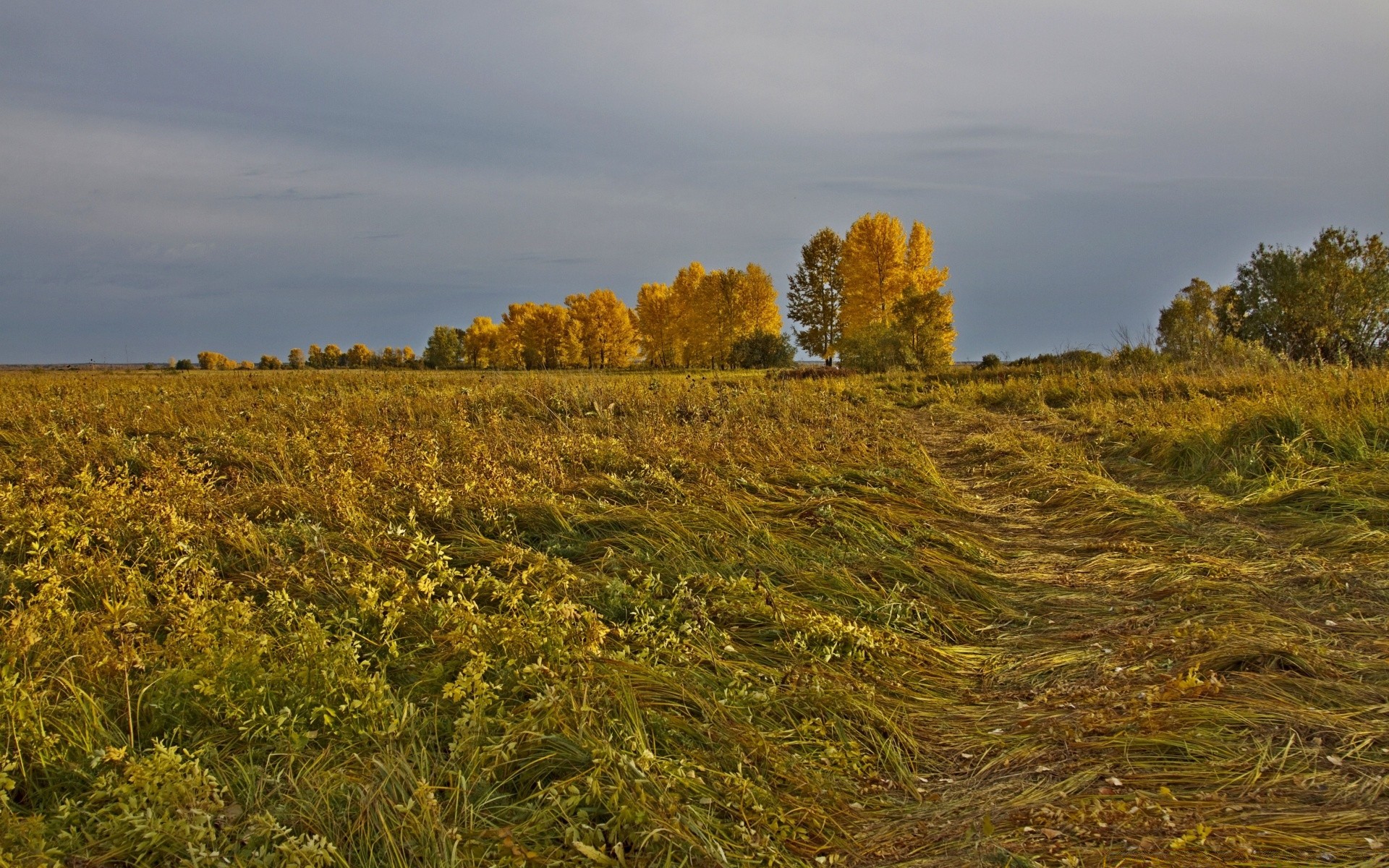 automne paysage agriculture en plein air champ arbre nature terres cultivées campagne lumière du jour scénique ciel automne ferme rural aube foin environnement