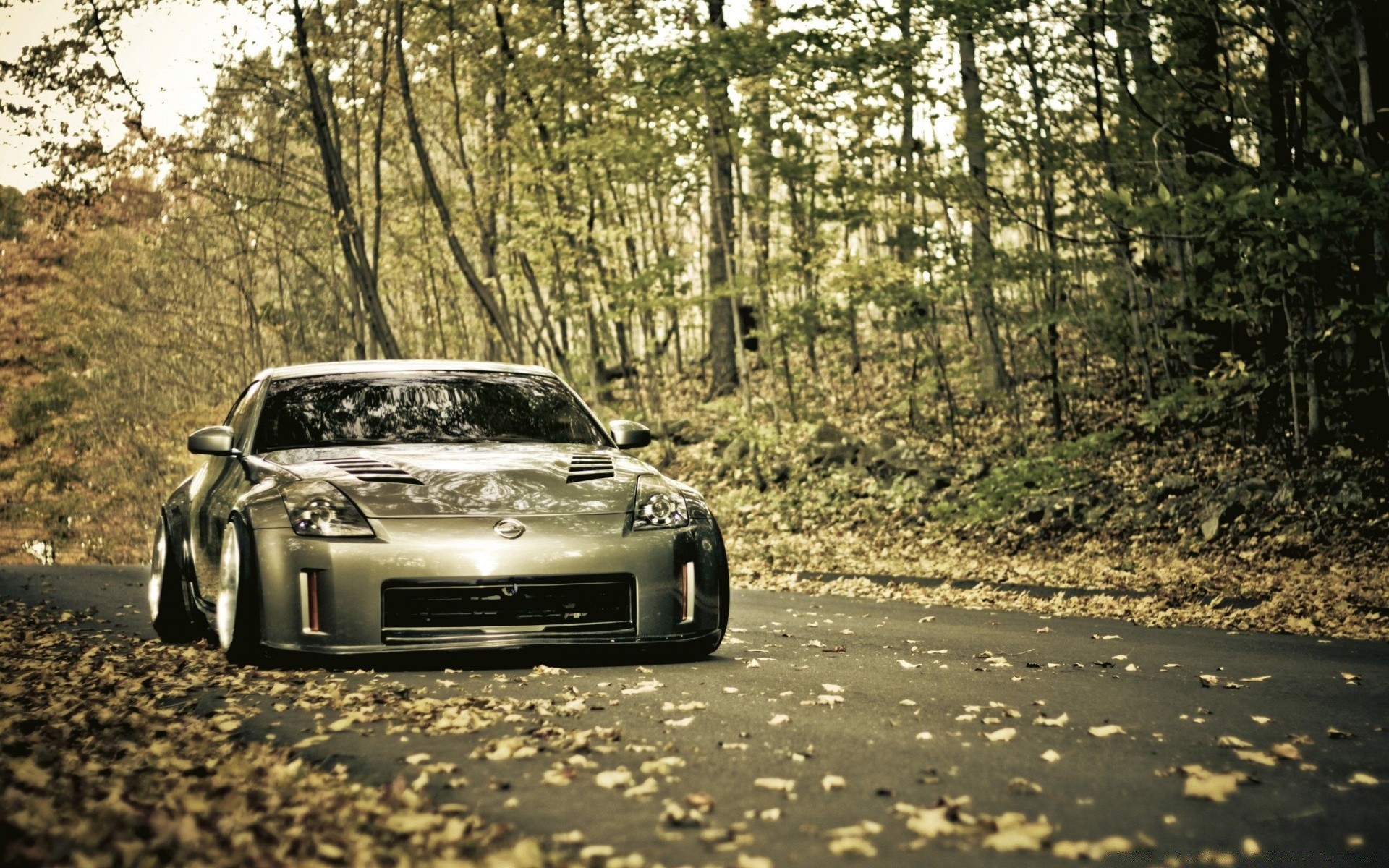 automne voiture voiture route bois bois système de transport à l extérieur roues nature