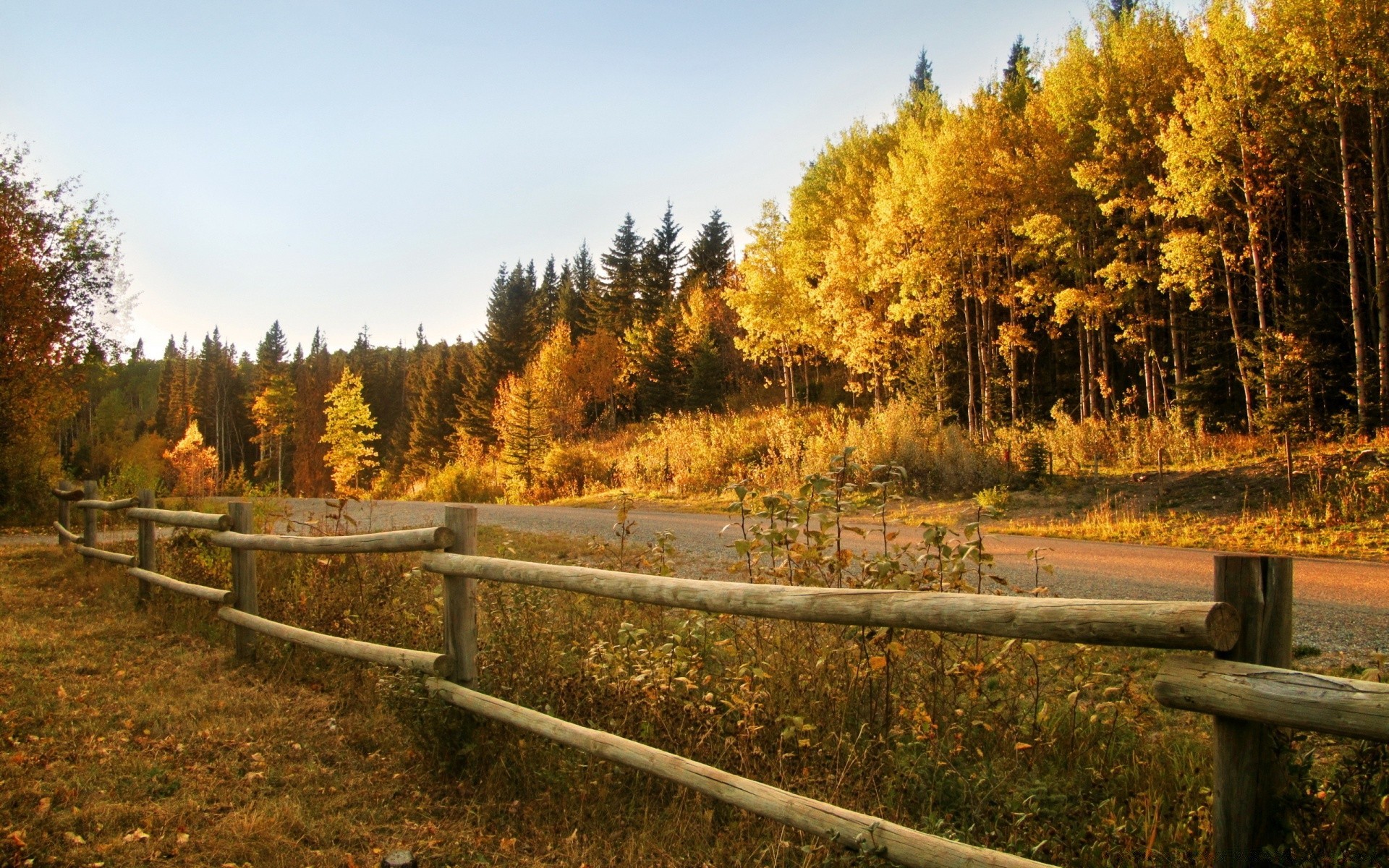 herbst herbst holz holz landschaft park blatt landschaftlich im freien natur jahreszeit tageslicht führer straße umwelt gras farbe