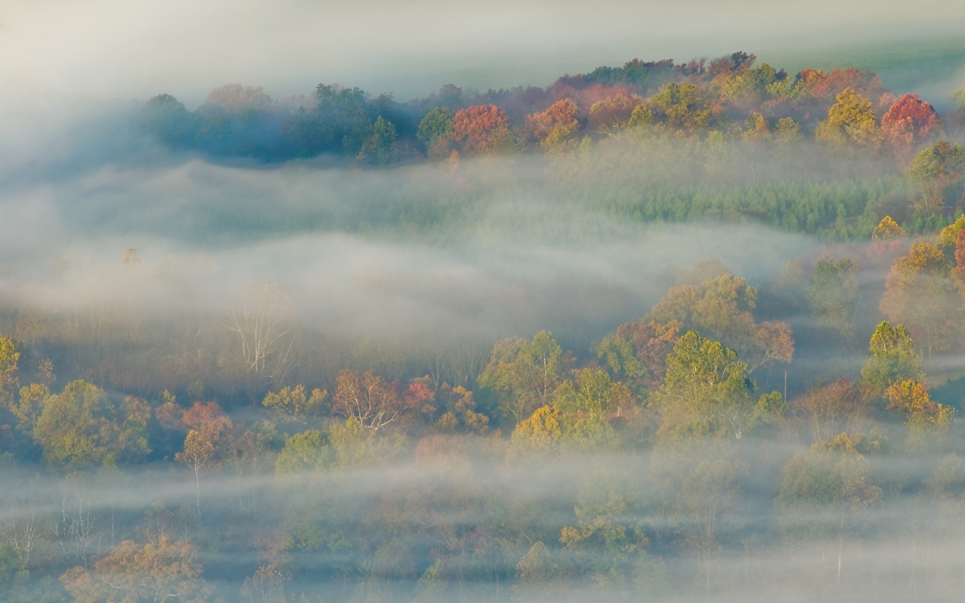 automne paysage automne brouillard arbre brouillard nature à l extérieur aube ciel coucher de soleil eau bois voyage scénique lumière du jour feuille