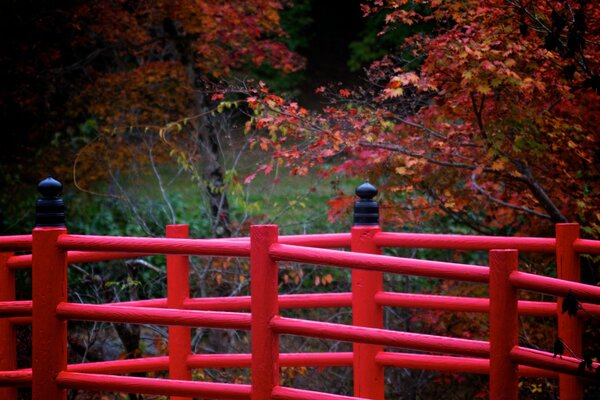 红色的篱笆与秋天的气氛完美地相得益彰