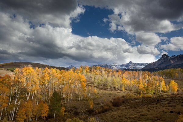 Autumn after with trees and mountains