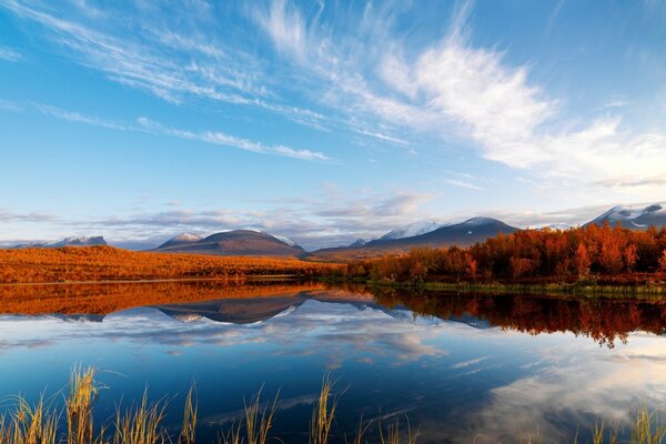 Landscape of the lake against the background of the autumn forest