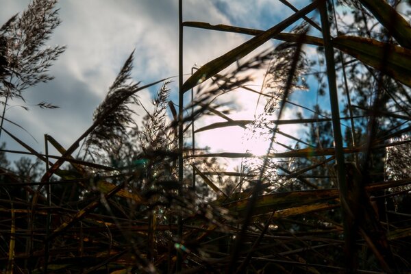 Nuages froids, l hiver arrive