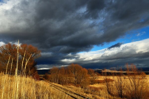 Ein gelbes Feld im Herbst und ein blauer Himmel unter Wolken