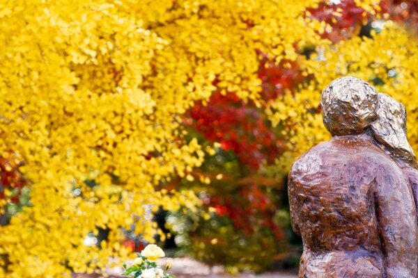 Die goldenen Farben der Natur erfreuen das Auge