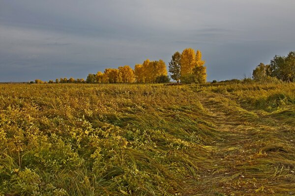 Das Land ist auf dem Land. Herbst im Dorf. Esenin-Rus