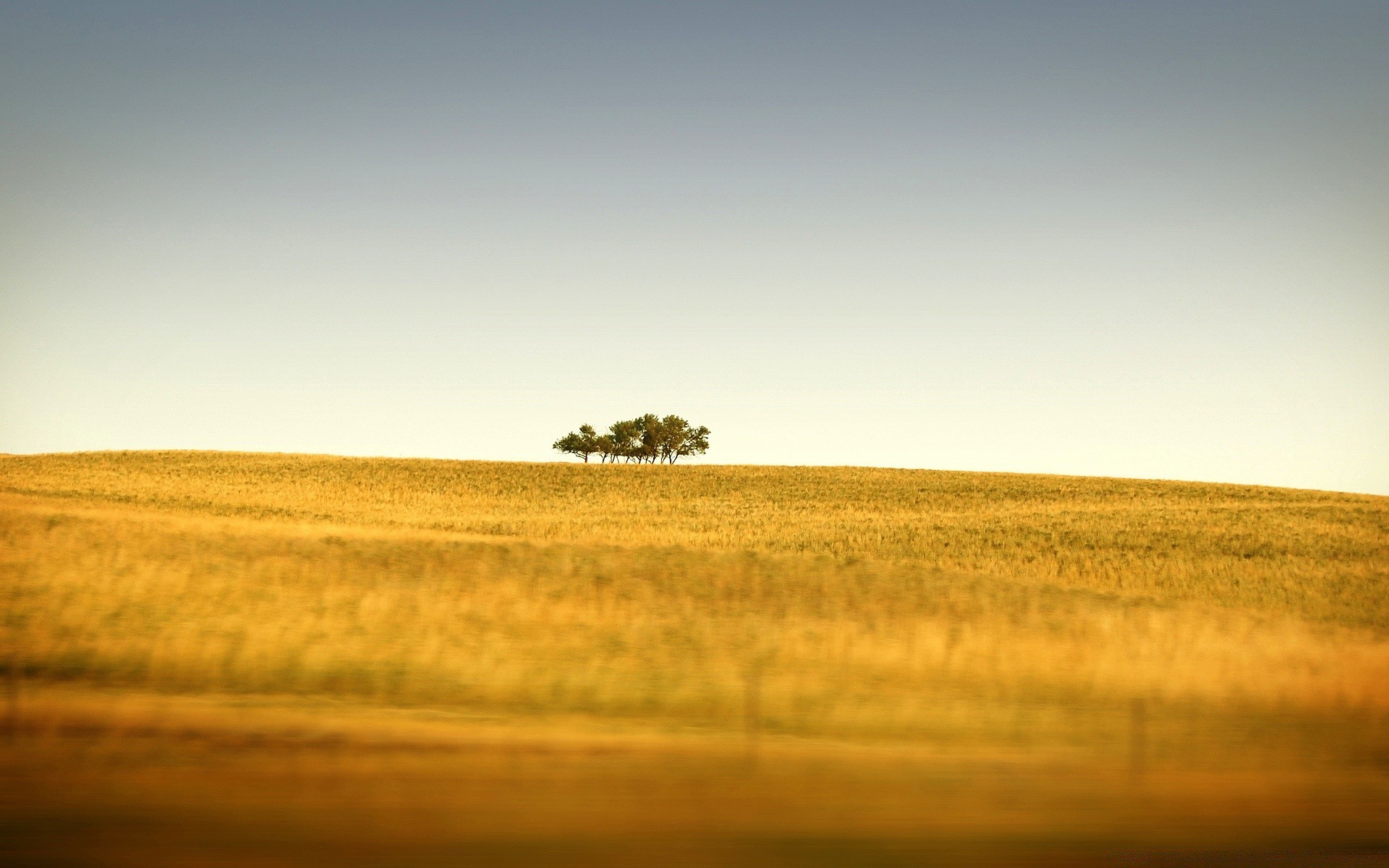 herbst landschaft sonnenuntergang feld himmel natur bauernhof gold licht landwirtschaft weizen herbst im freien sonne bebautes land dämmerung gras ländlichen weiden baum