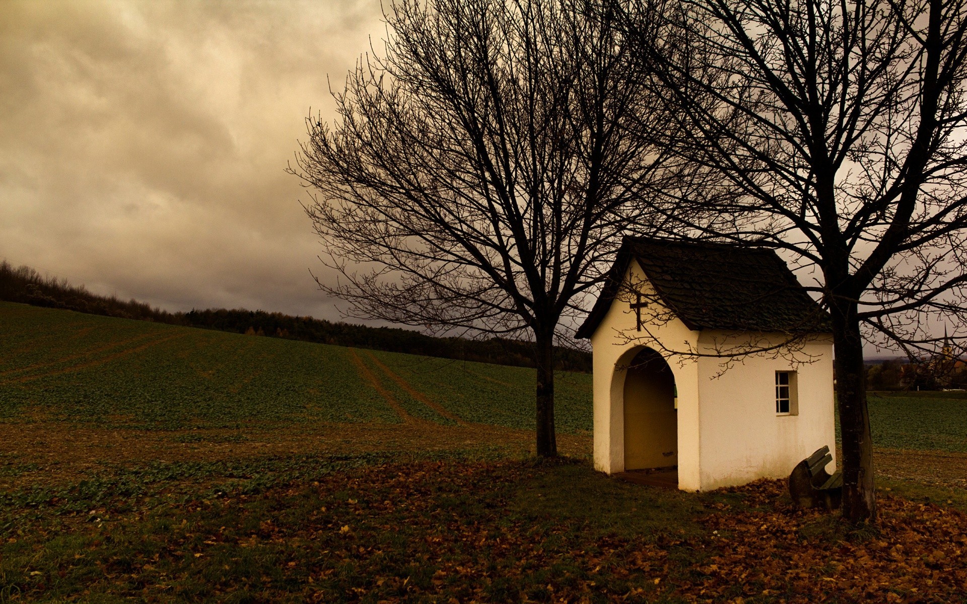 otoño árbol paisaje granero otoño casa luz madera al aire libre