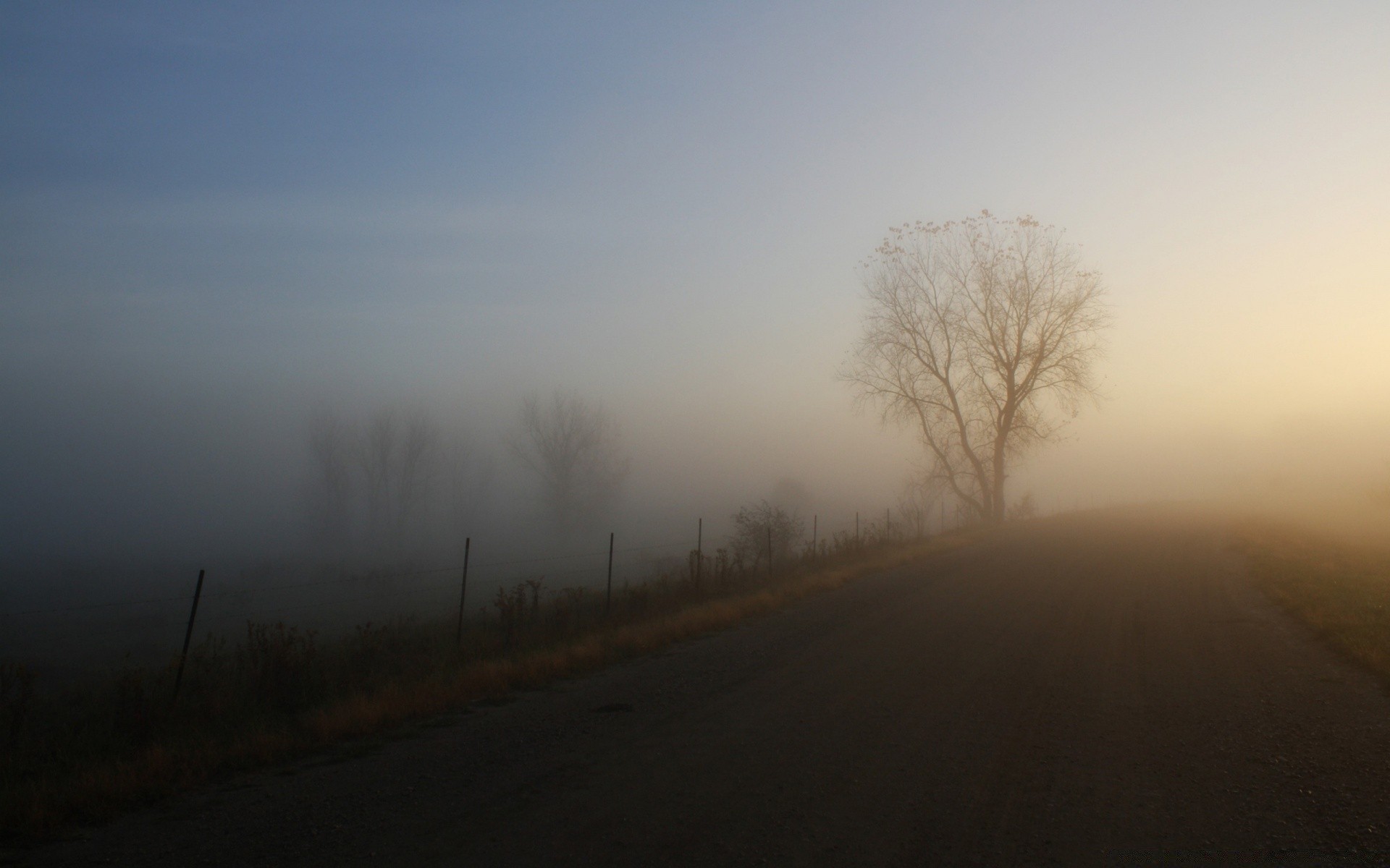 herbst nebel landschaft nebel dämmerung winter wetter sonnenuntergang schnee baum natur himmel licht sturm straße sonne dunst herbst abend im freien