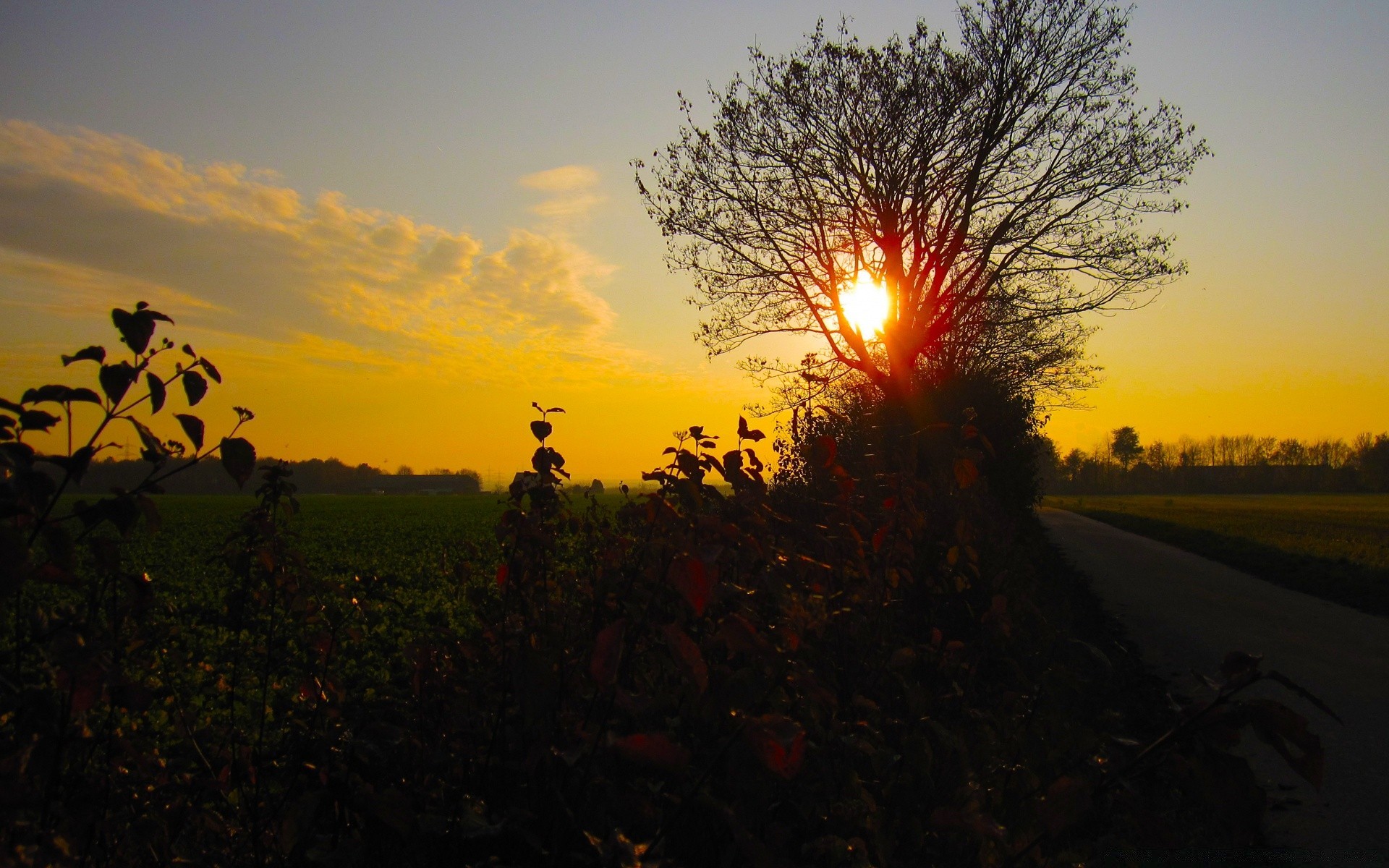 otoño puesta de sol paisaje árbol amanecer silueta noche sol luz iluminado cielo crepúsculo otoño naturaleza campo al aire libre medio ambiente tiempo granja buen tiempo