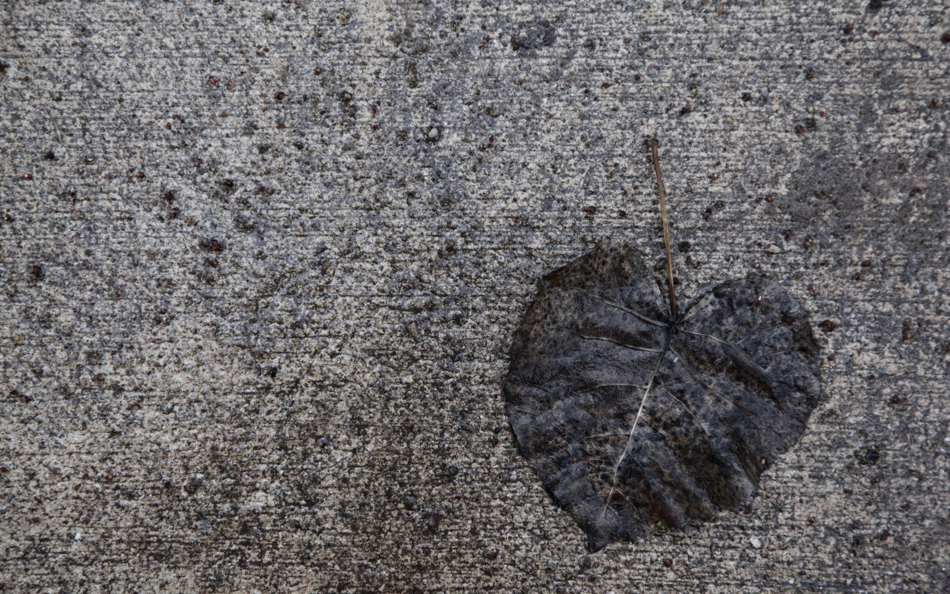 otoño escritorio textura abstracto patrón naturaleza arena piedra superficie viejo primer plano tierra áspero sucio roca