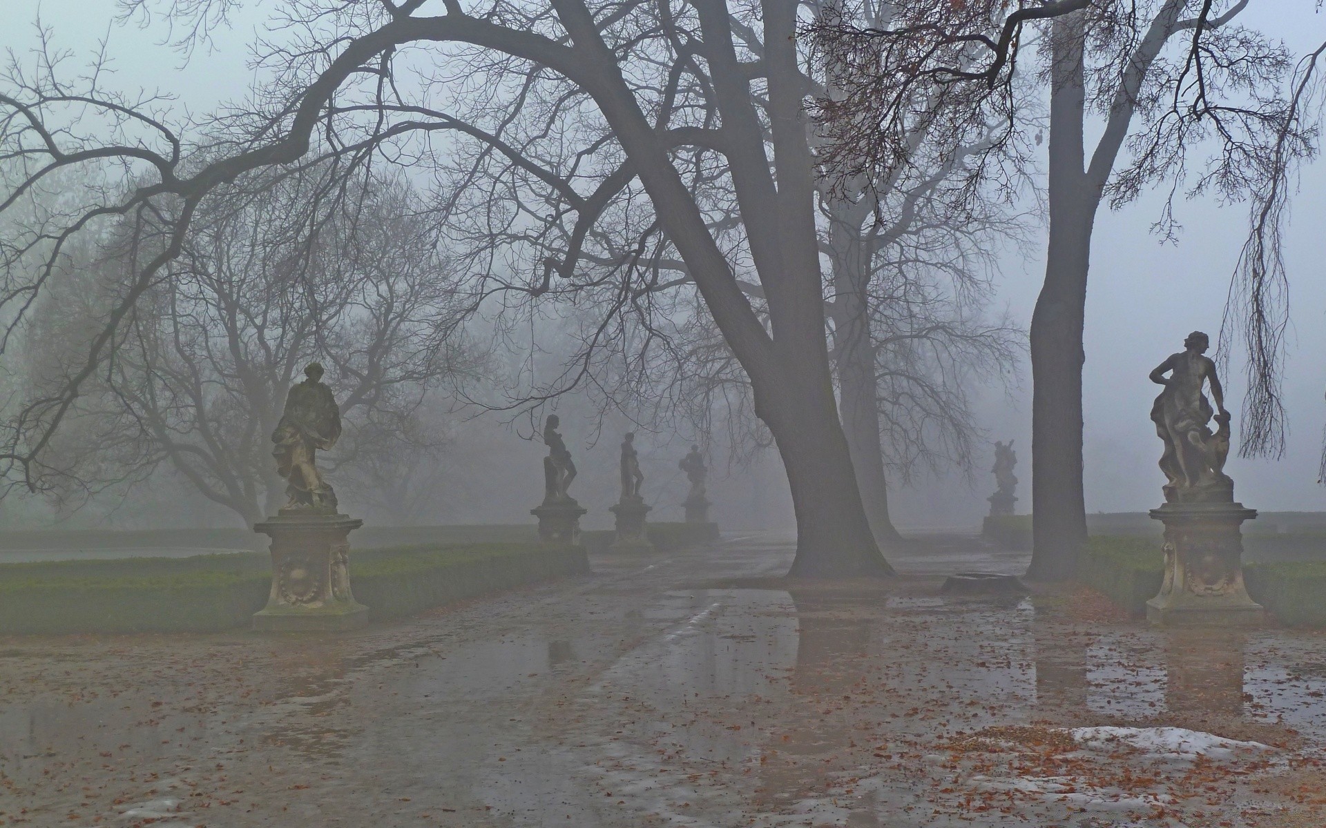 otoño árbol invierno nieve paisaje tiempo madera frío niebla carretera parque al aire libre escénico luz del día