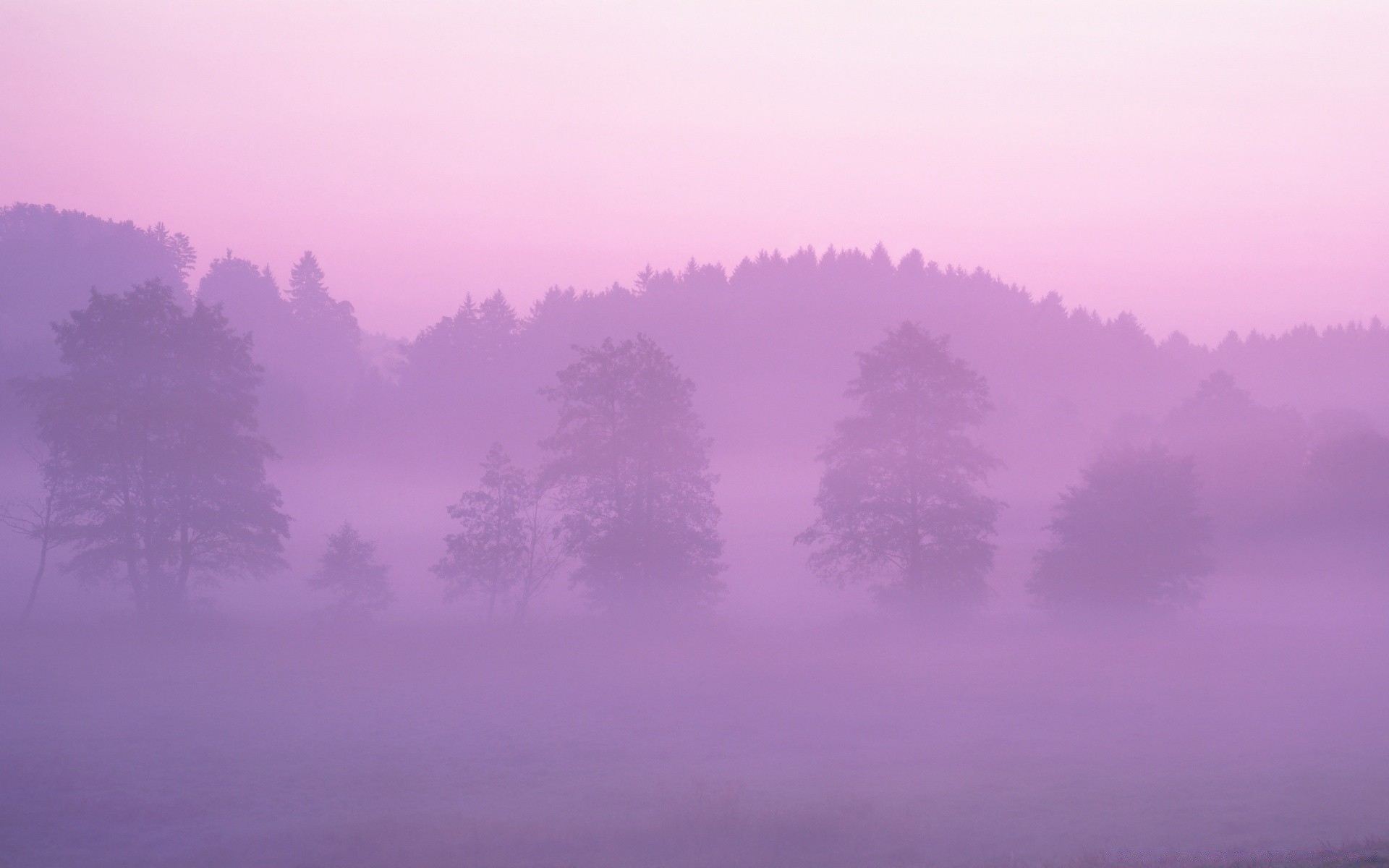 autunno paesaggio nebbia alba tempo natura luce tramonto cielo nebbia sole colore silhouette desktop sera all aperto