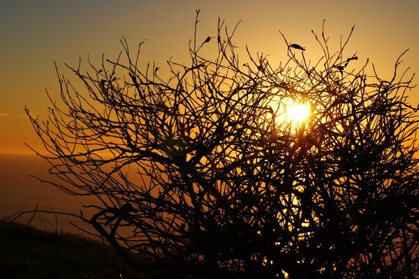 Autumn dawn. The sun warms the first rays