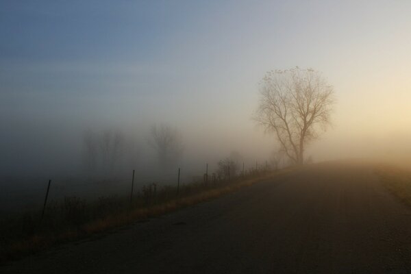 Landscape of a foggy morning at dawn