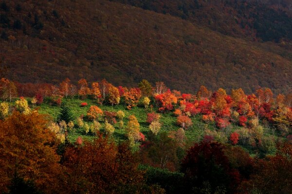 Paisaje de otoño al aire libre