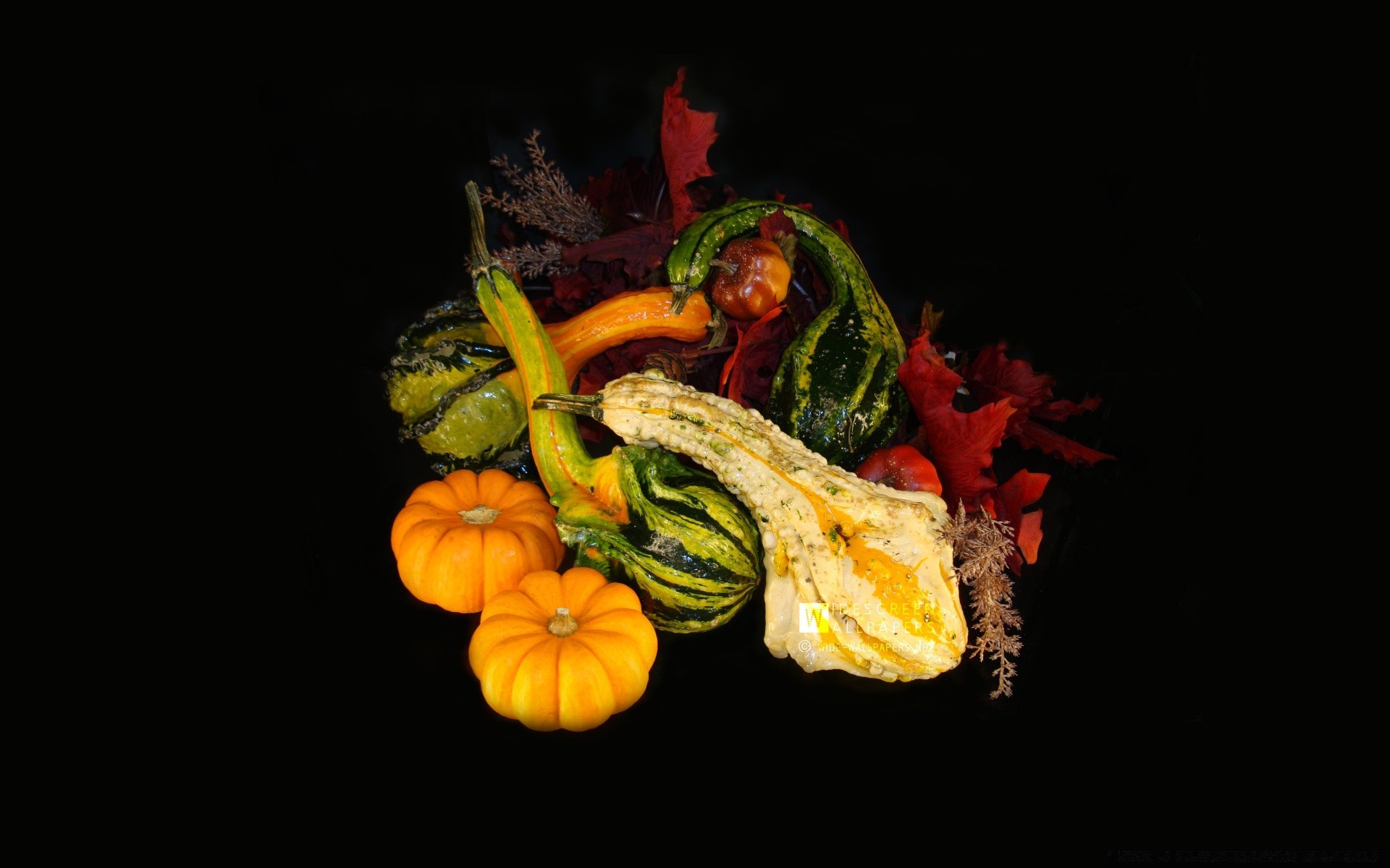 autumn food grow leaf vegetable desktop still life color fruit