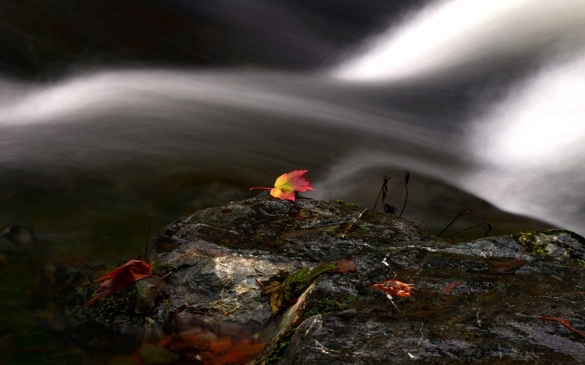 autumn water landscape river nature rock blur fall outdoors park light lake wood