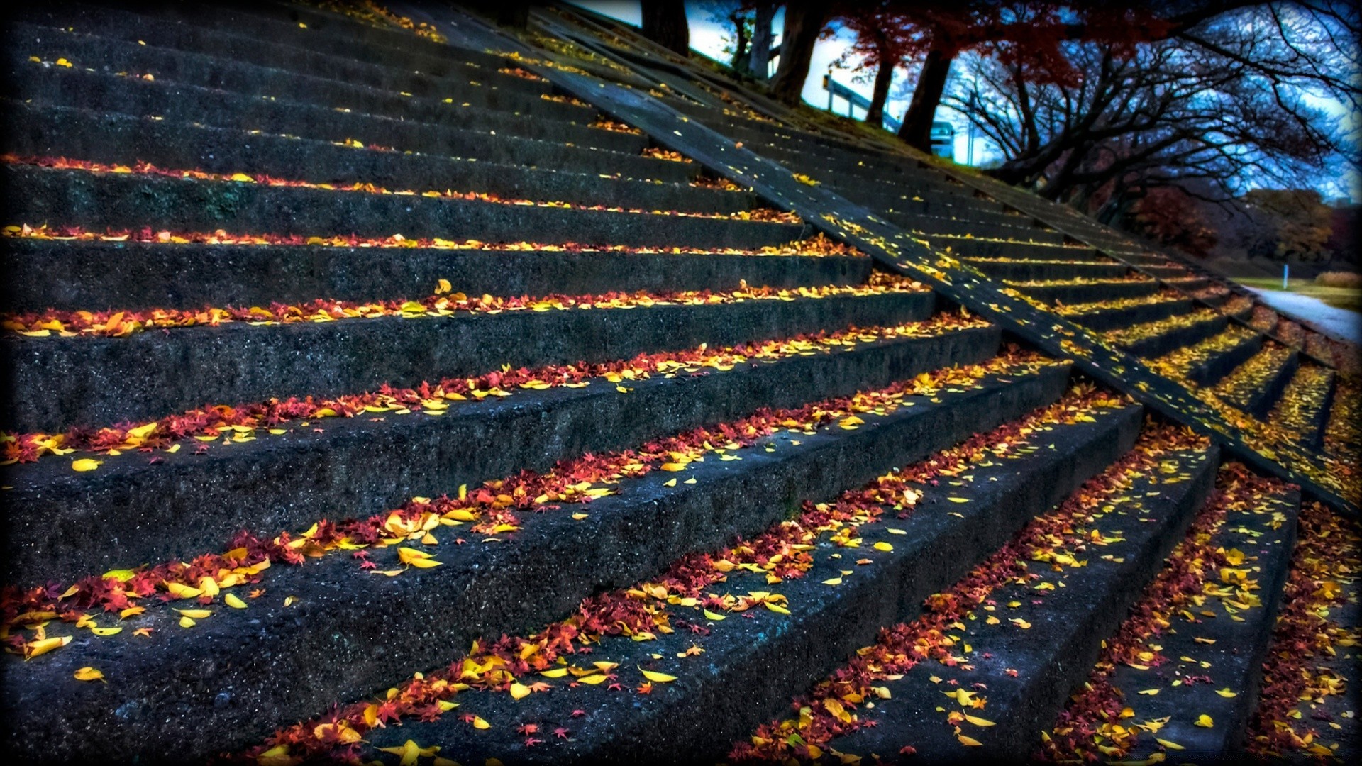 autunno desktop modello astratto texture all aperto