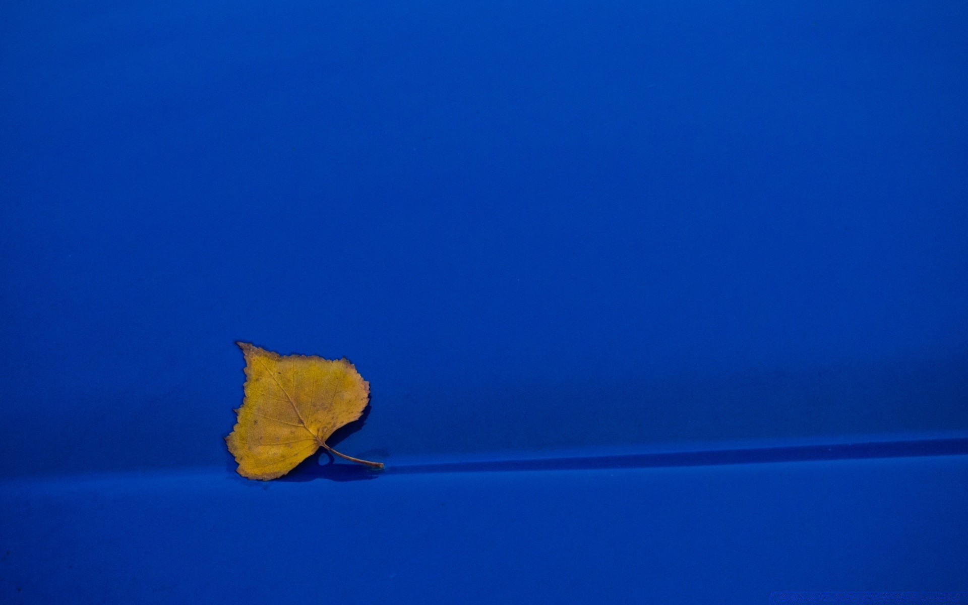 herbst desktop licht tageslicht himmel natur meer wasser abstrakt farbe hintergrundbeleuchtung ozean im freien landschaft