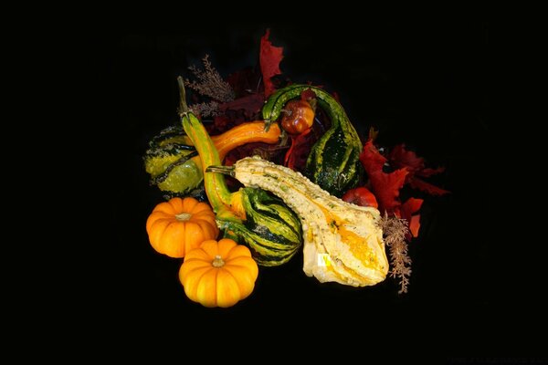 Autumn leaves and vegetables