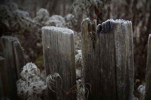 Photo of an old fence with a wood texture