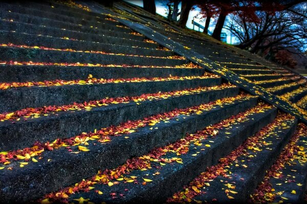 Stairs covered with a golden veil