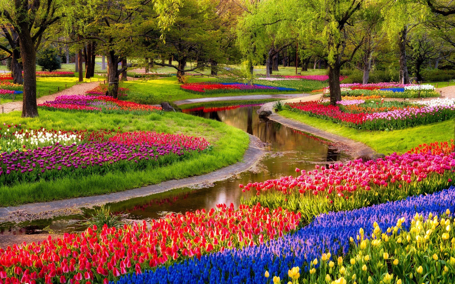 spring flower garden tulip nature landscape park flora color grass season tree outdoors blooming leaf growth summer springtime scenic lawn