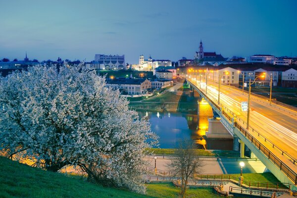 Beautiful bridge with a flowering tree