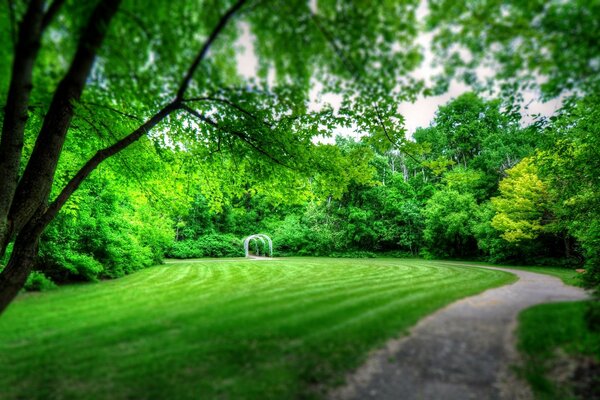 Summer park with lawn and road