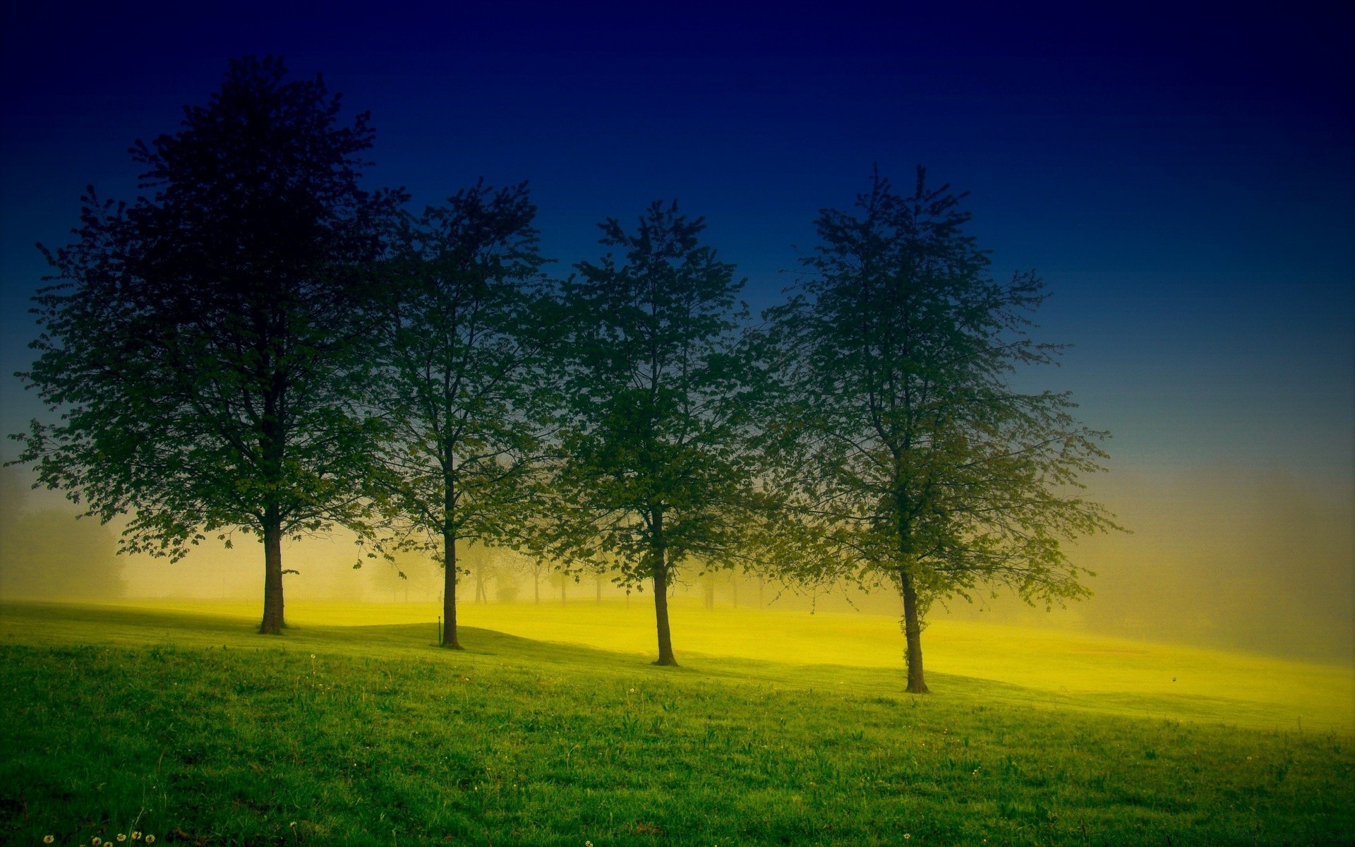 spring landscape tree nature dawn sun grass countryside rural sky fair weather hayfield sunset scenic outdoors light field