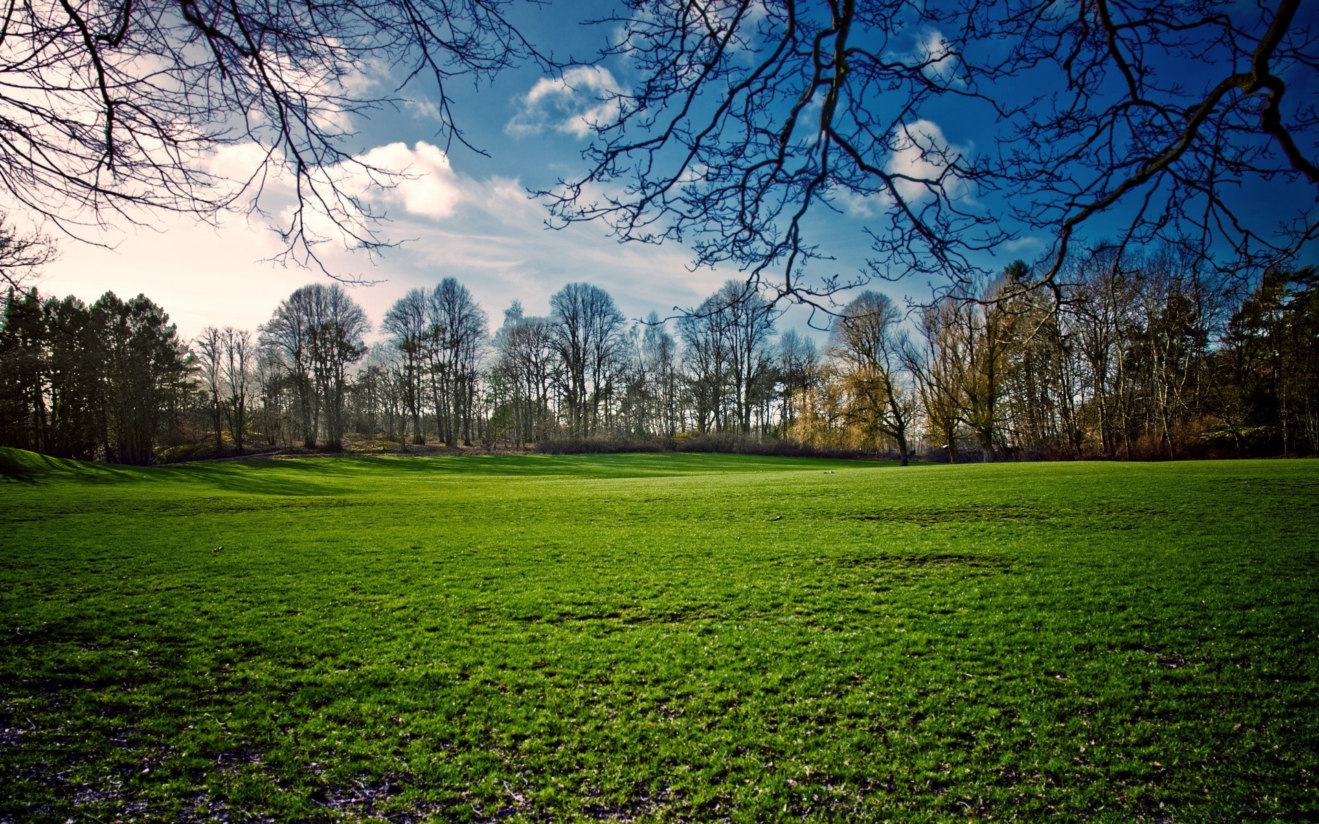 spring landscape tree grass nature sight scenic park lawn rural season field hayfield countryside scene scenery outdoors