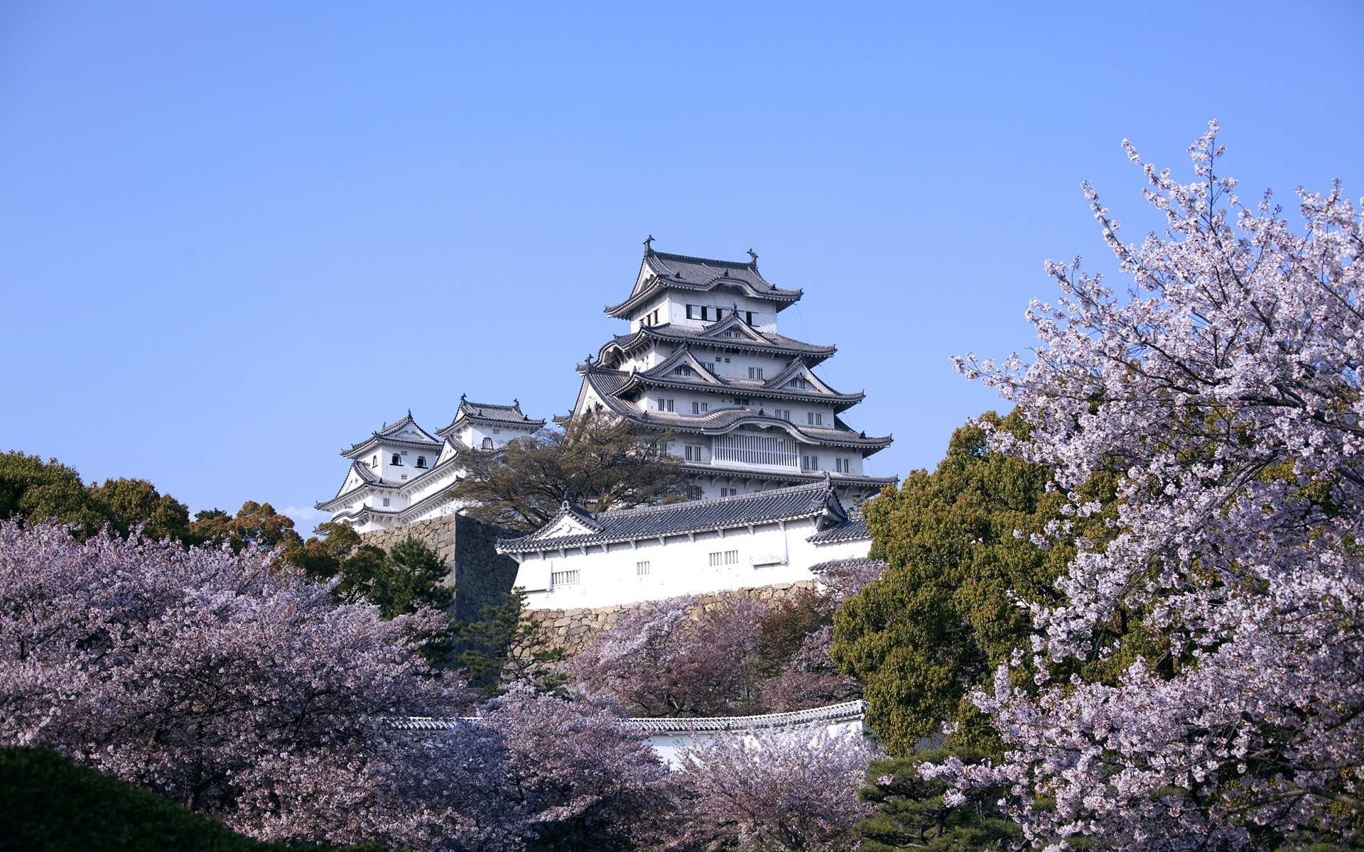 春天 树 花 建筑 天空 户外 旅行 家 花园 景观 自然 植物 公园