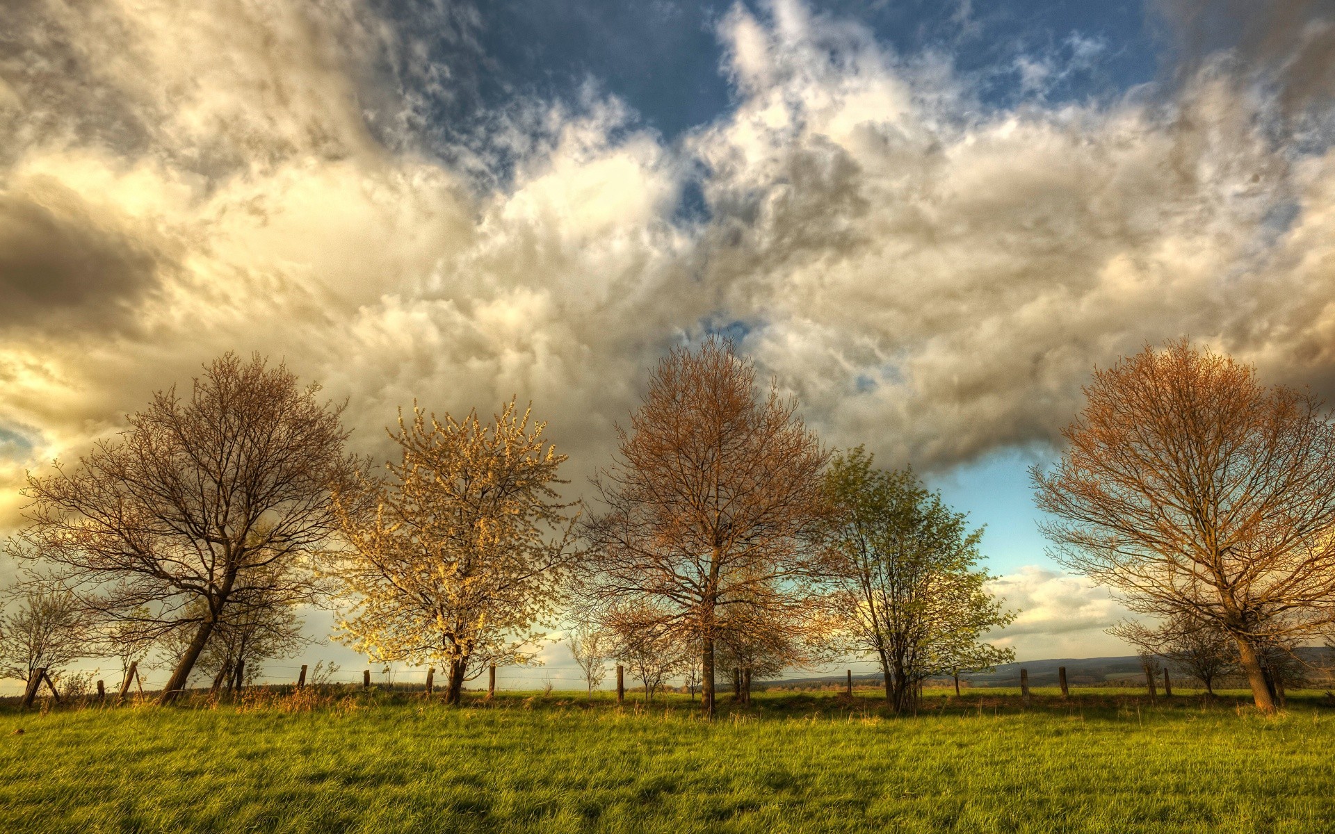 spring landscape tree nature rural countryside sky fall dawn weather fair weather grass outdoors field sun