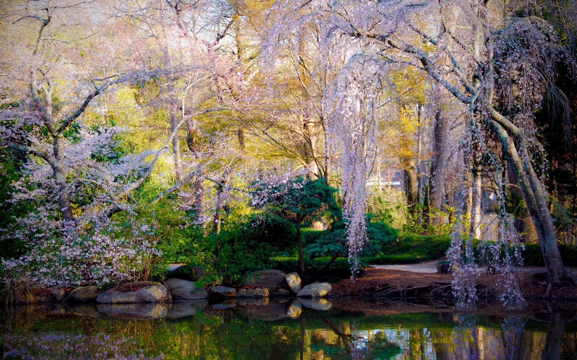 primavera natura albero autunno foglia di legno paesaggio parco stagione scenic paesaggio all aperto flora ramo scena acqua pietra rurale colore campagna