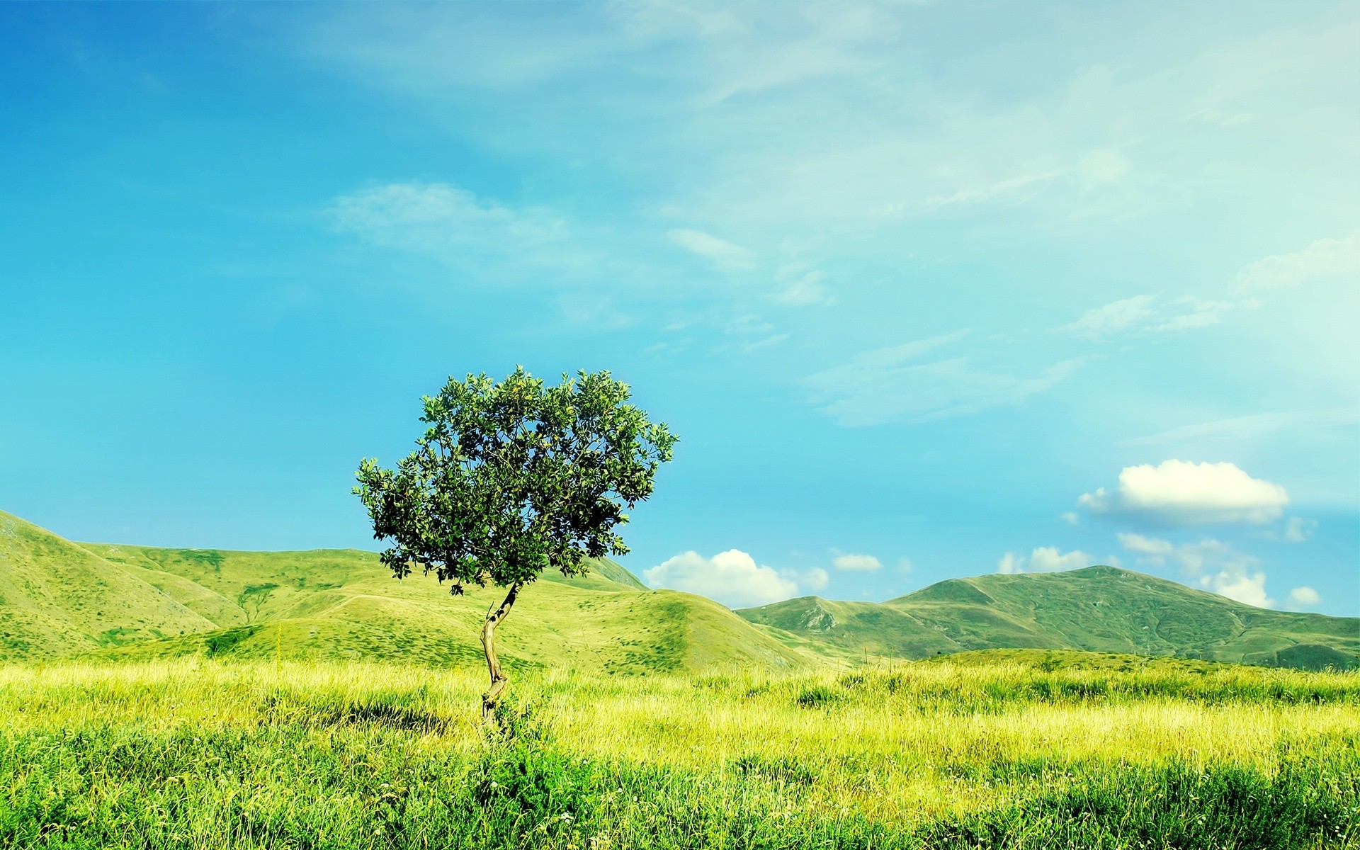 spring landscape nature field tree sky grass summer rural countryside hayfield hill outdoors agriculture sun horizon cloud idyllic fair weather country