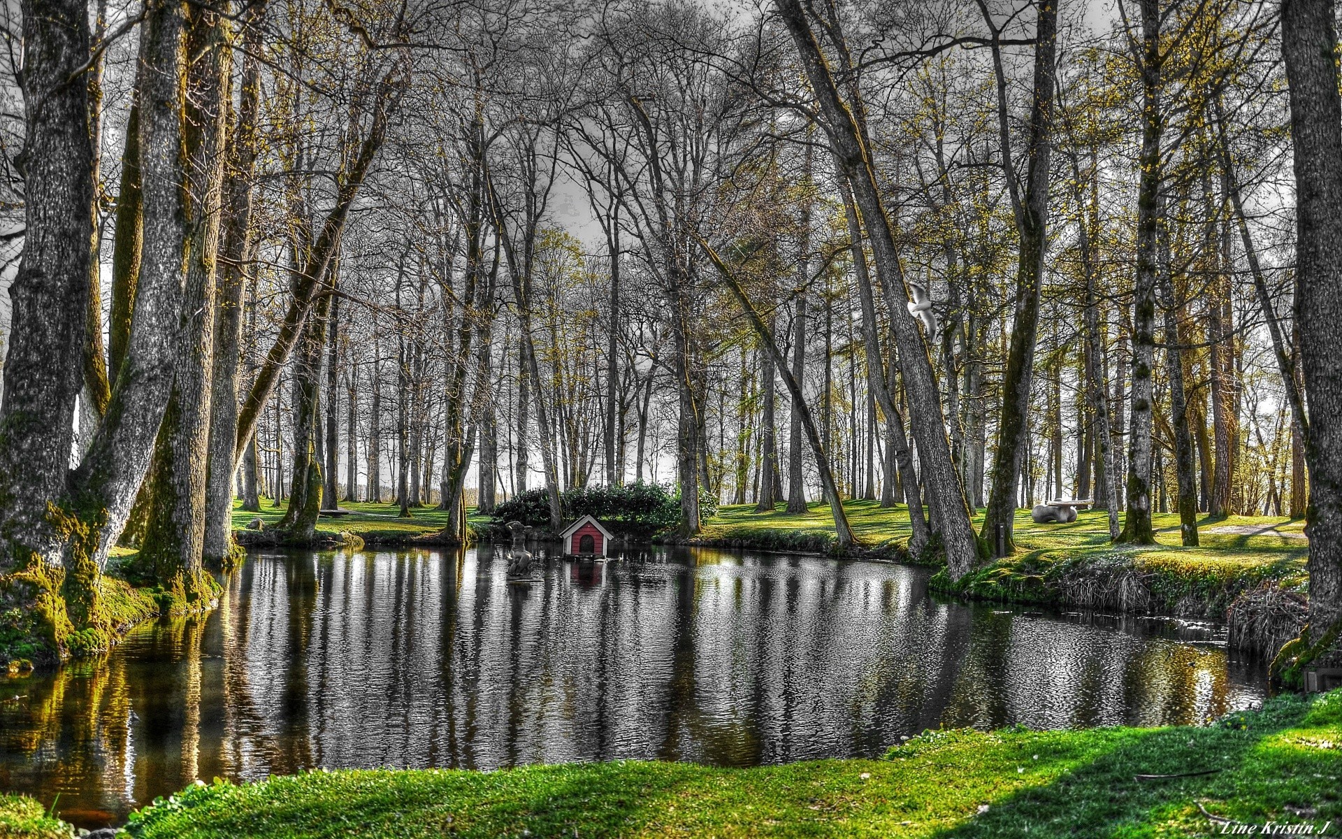 printemps nature automne arbre bois paysage parc feuille eau saison réflexion à l extérieur rivière lac piscine pittoresque sang-froid paysages beau temps aube