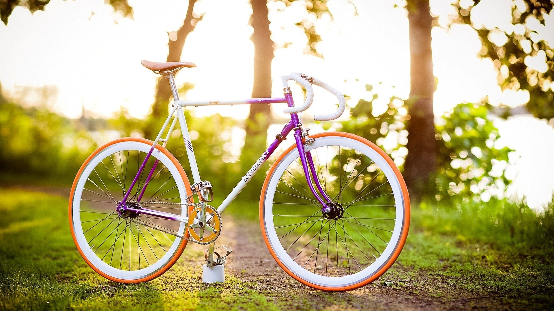 frühling räder fahrrad natur sommer gras park holz holz im freien