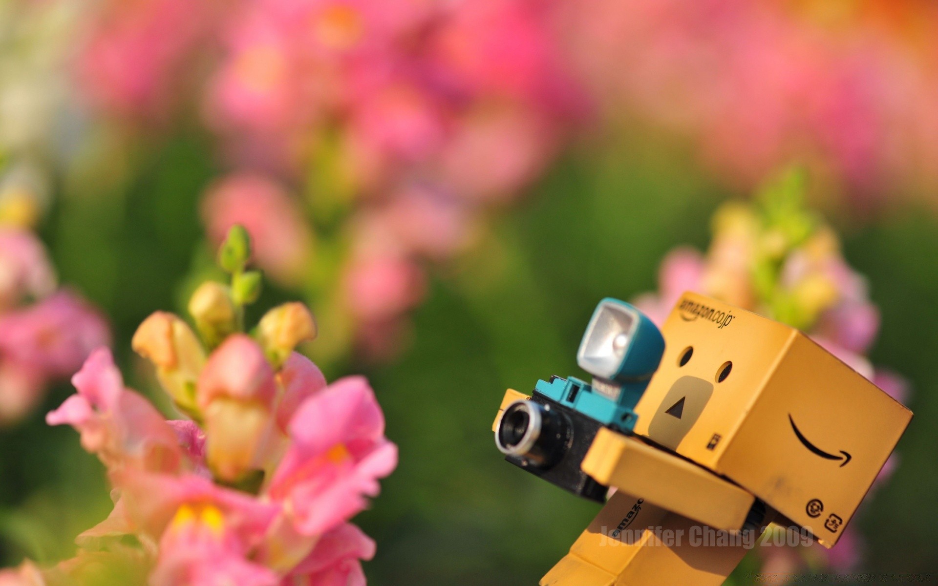 bahar doğa yaz çiçek açık havada yaprak bahçe güzel hava koşulları flora parlak büyüme çimen