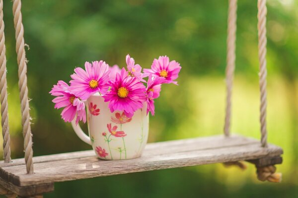 Rosa Blüten in einer schönen Tasse